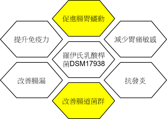 便祕 - 寶乖亞 - 羅伊氏乳酸桿菌DSM 17938功能