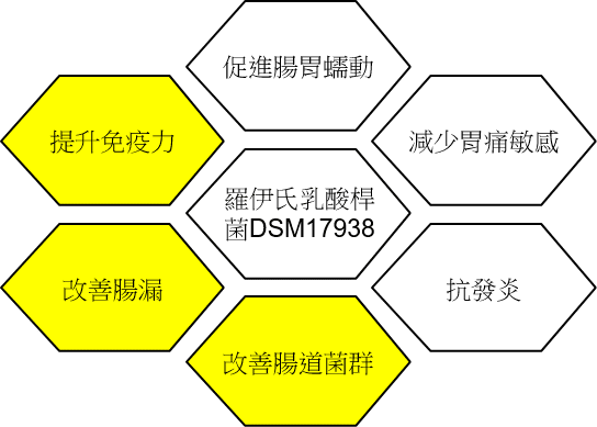 預防感染 - 寶乖亞 - 羅伊氏乳酸桿菌DSM 17938適應症 - 功能